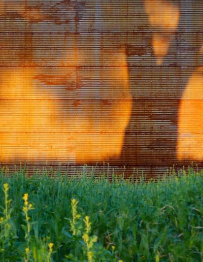 Corrugated metal building with a cut-out window overlooking a lush green field at sunset.