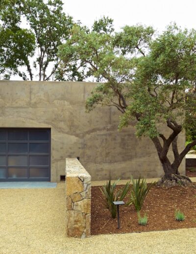 A modern, single-story building with a blue garage door, set in a landscaped garden with gravel, young plants, and mature trees.