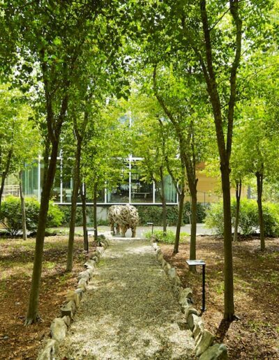 A walking path through a tranquil forested area leading to a modern glass building.